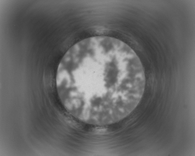 X0000081380651200702090013