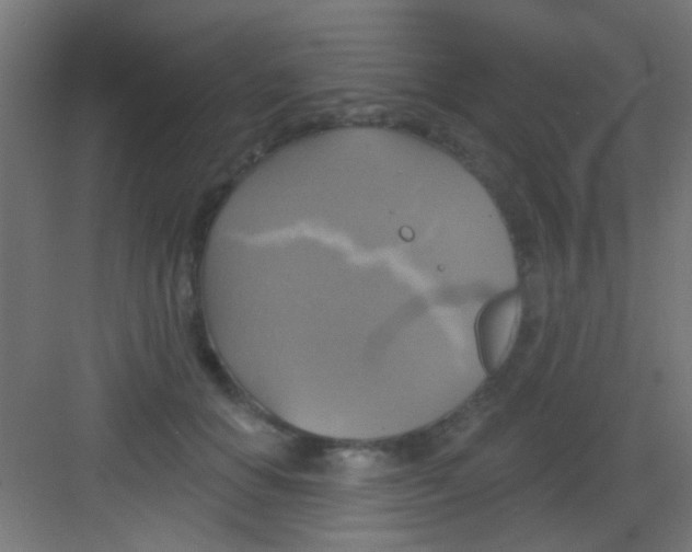 X0000081380654200702090013