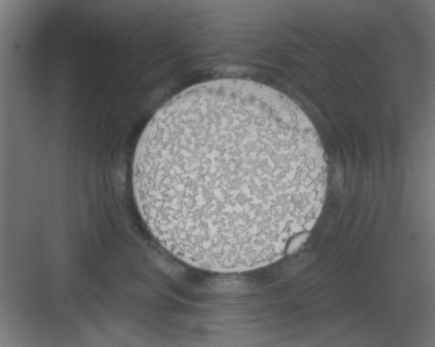 X0000081380668200702090013