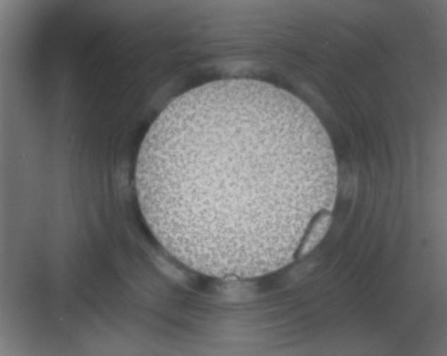 X0000081380670200702090013