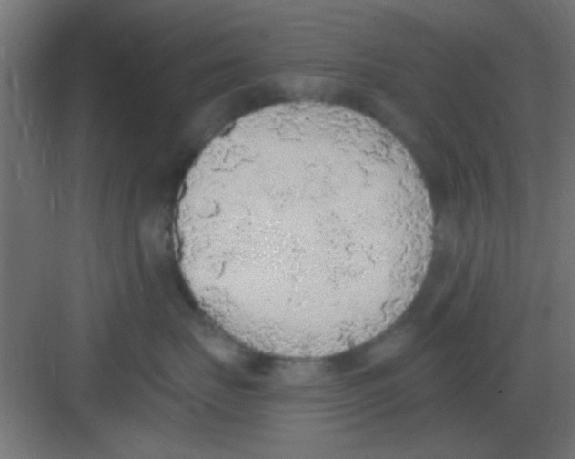 X0000081380671200702090013