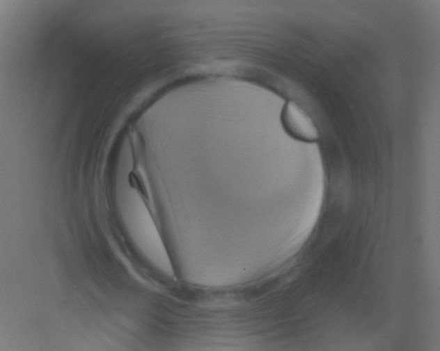 X0000081380674200702090013