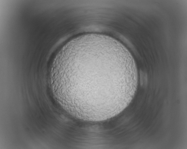 X0000081380675200702090013