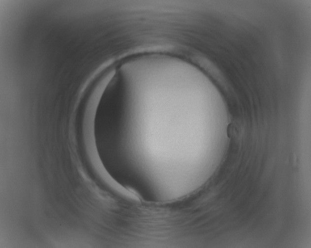 X0000081380676200702090013