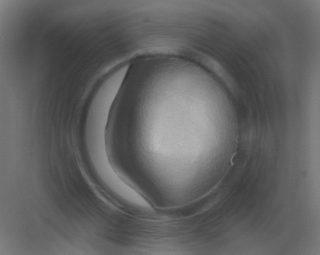 X0000081380677200702090013