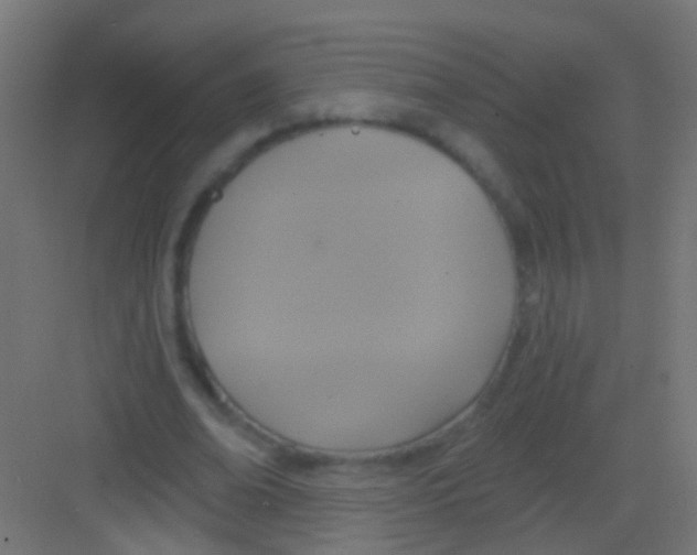 X0000081380678200702090013