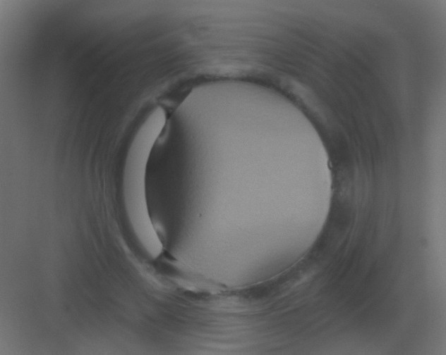 X0000081380685200702090012