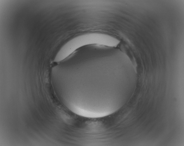X0000081380689200702090012