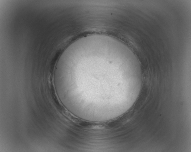 X0000081380692200702090012