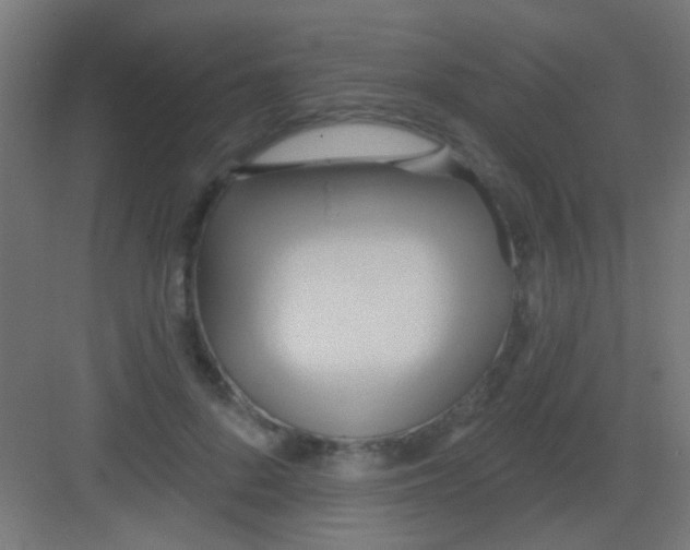 X0000081380696200702090012