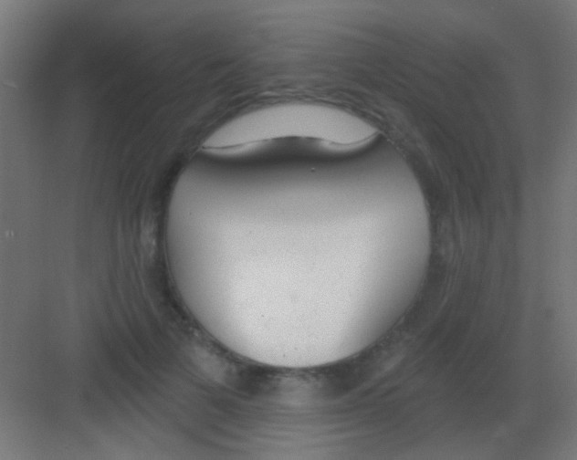 X0000081380697200702090012