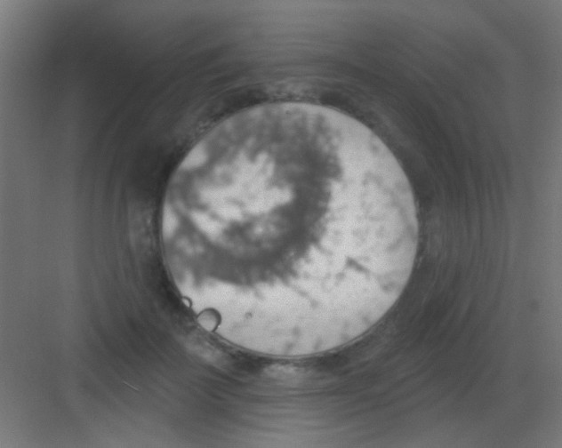X0000081380699200702090012
