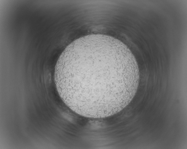 X0000081380703200702090012