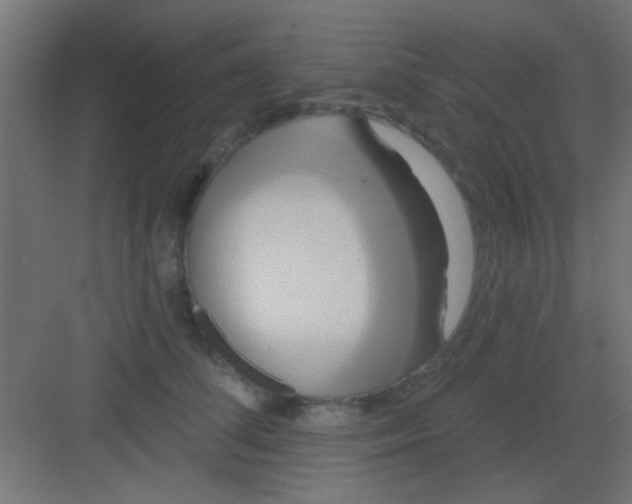 X0000081380708200702090012