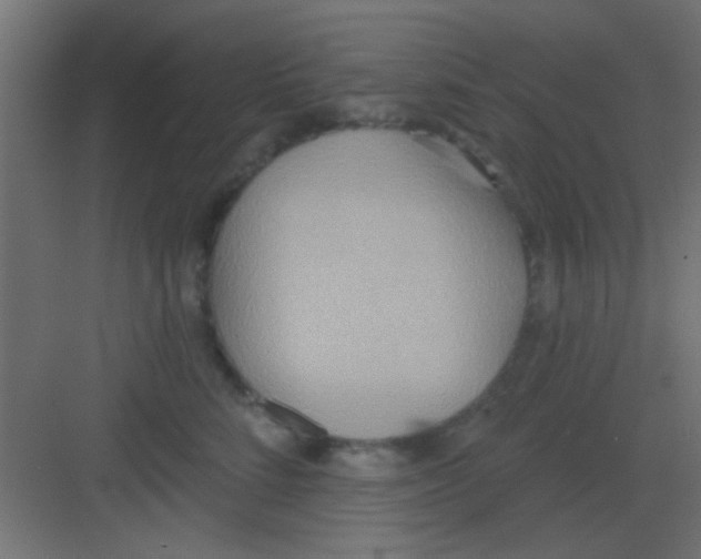 X0000081380712200702090012