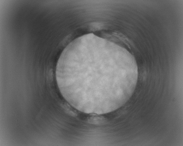 X0000081380716200702090012
