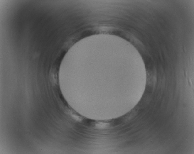 X0000081380718200702090012