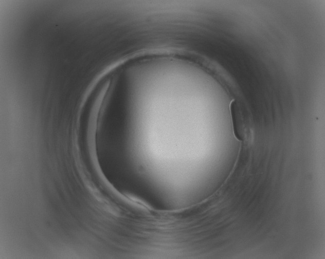 X0000081380724200702090011