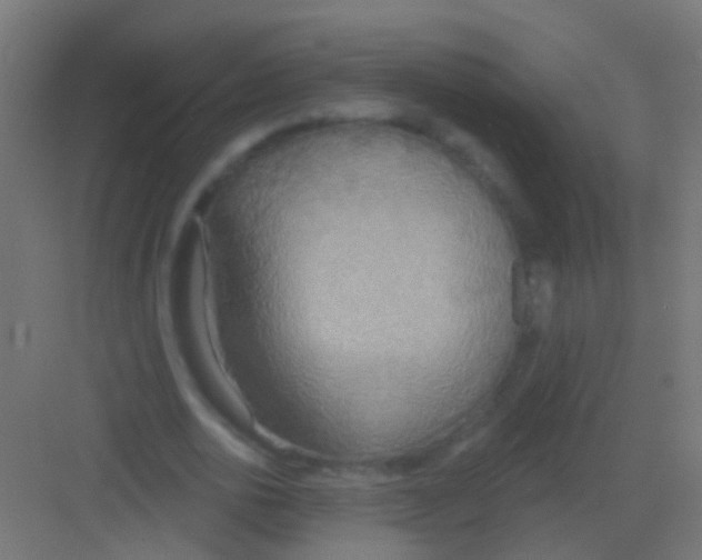 X0000081380726200702090011
