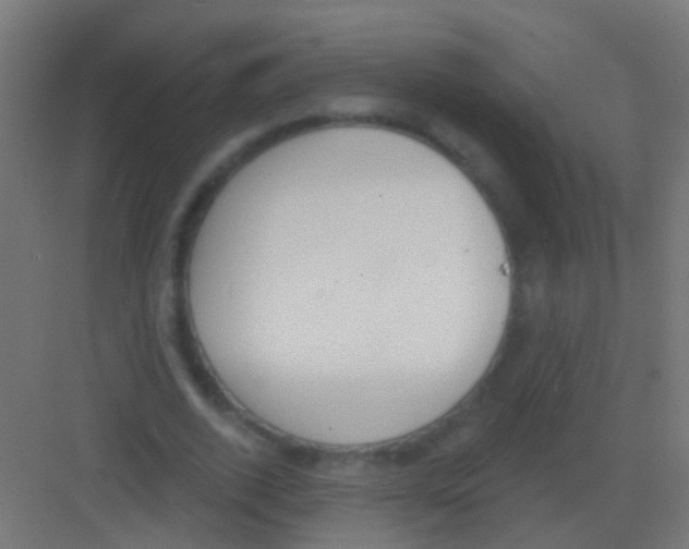 X0000081380728200702090011