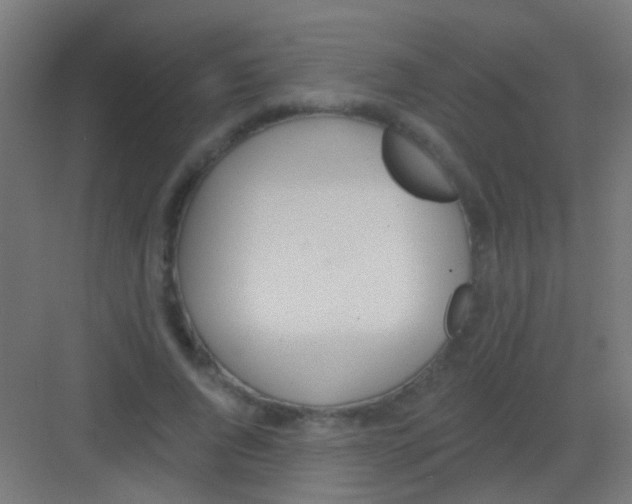 X0000081380736200702090011