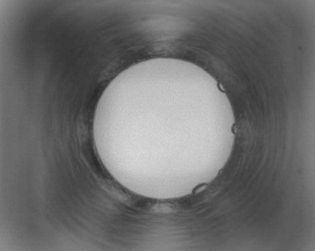 X0000081380751200702090012