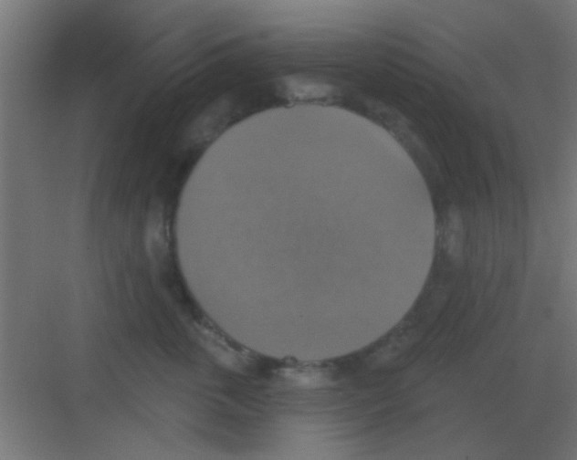 X0000081380763200702090012