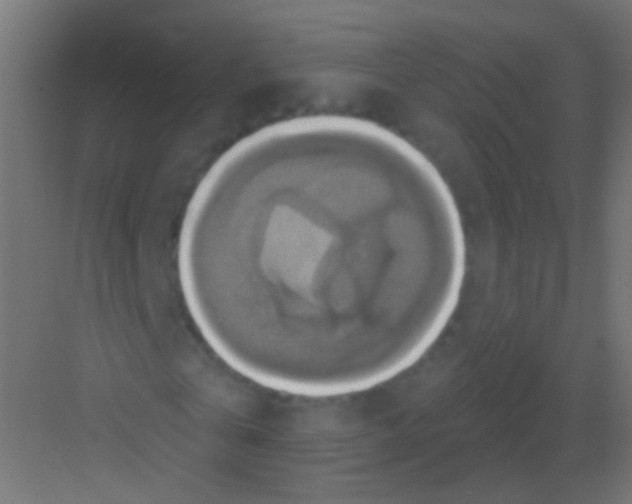 X0000081380769200702090011