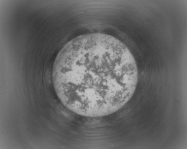 X0000081380772200702090011