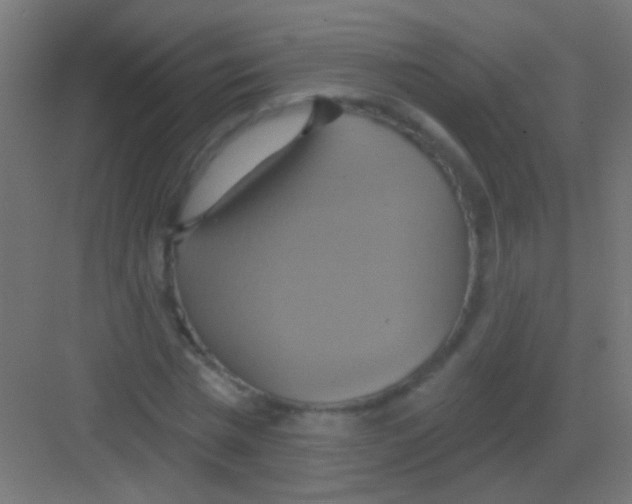 X0000081380777200702090011