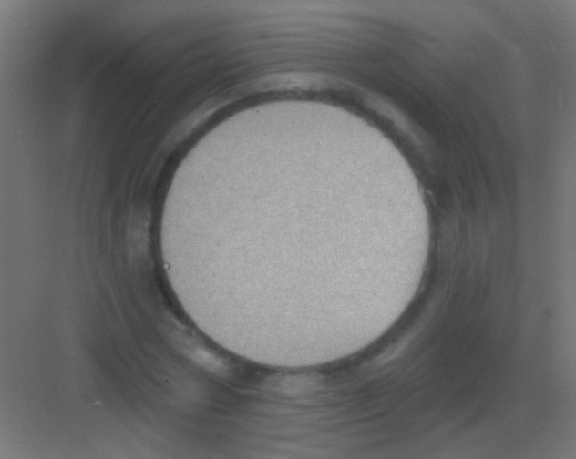 X0000081380778200702090011