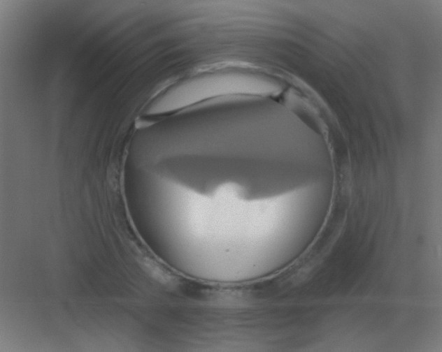 X0000081380785200702090011