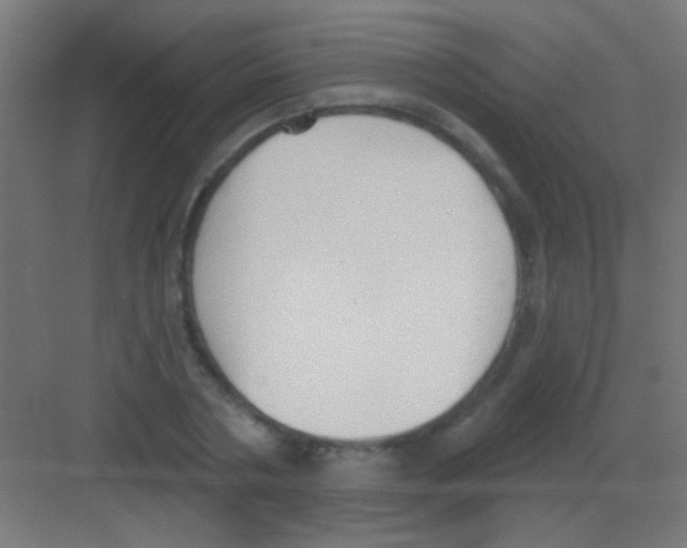 X0000081380786200702090011