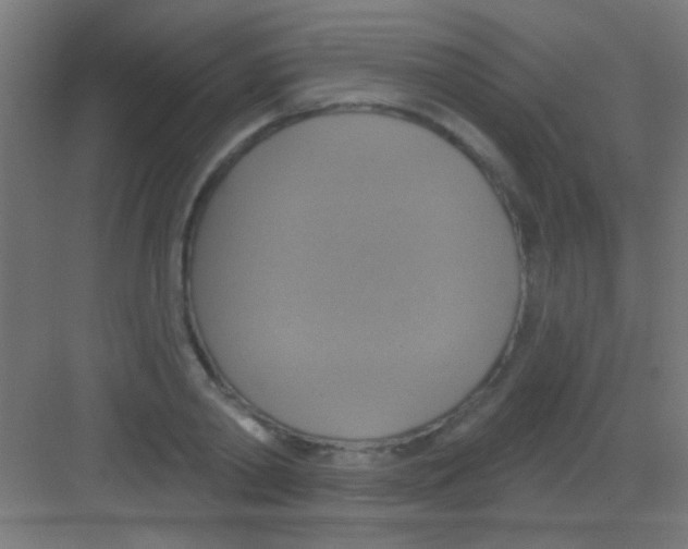 X0000081380790200702090011