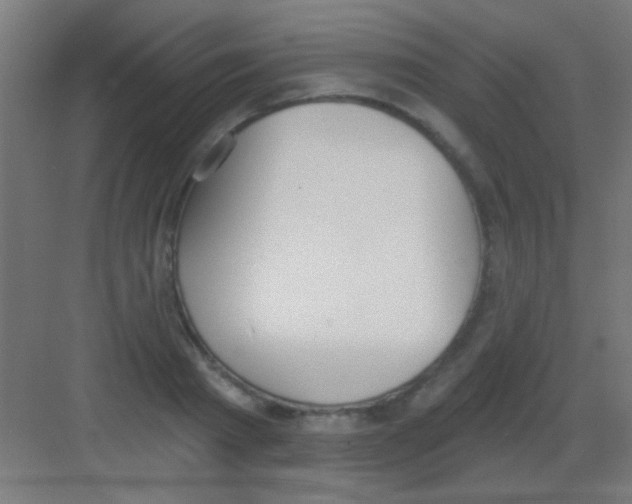 X0000081380793200702090011