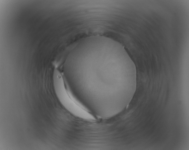 X0000081380818200702090009