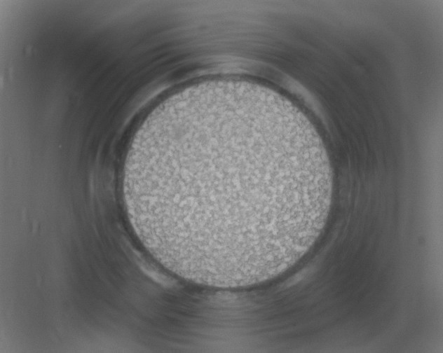 X0000081380827200702090010