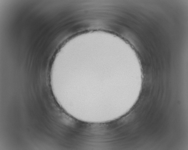 X0000081380832200702090010