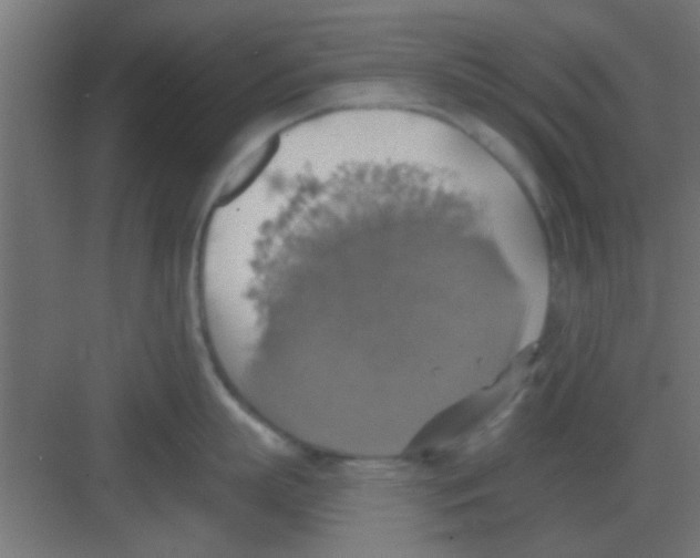 X0000081380863200702090010