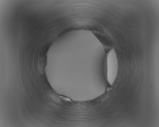 X0000081380868200702090009