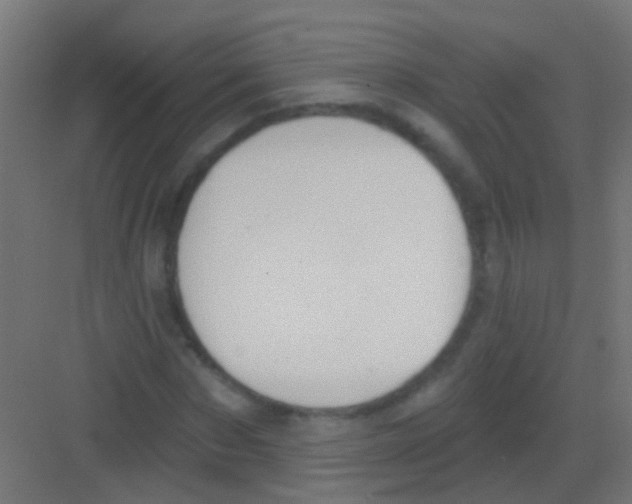 X0000081380873200702090009