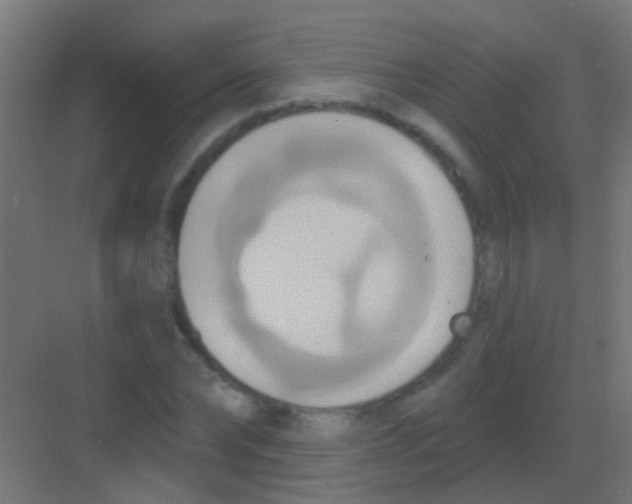 X0000081380878200702090009