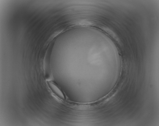 X0000081380889200702090009