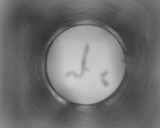 X0000081380909200702090009