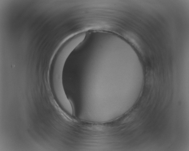X0000081380932200702090008