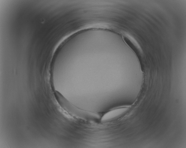 X0000081380944200702090008