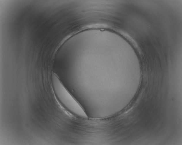 X0000081380945200702090008