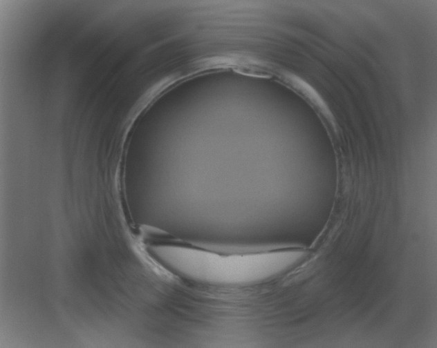 X0000081380946200702090008