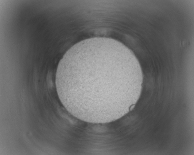 X0000081380962200702090008