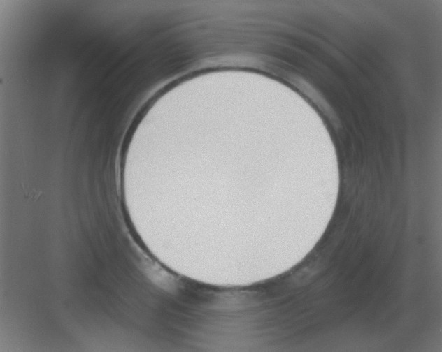 X0000081380988200702090007